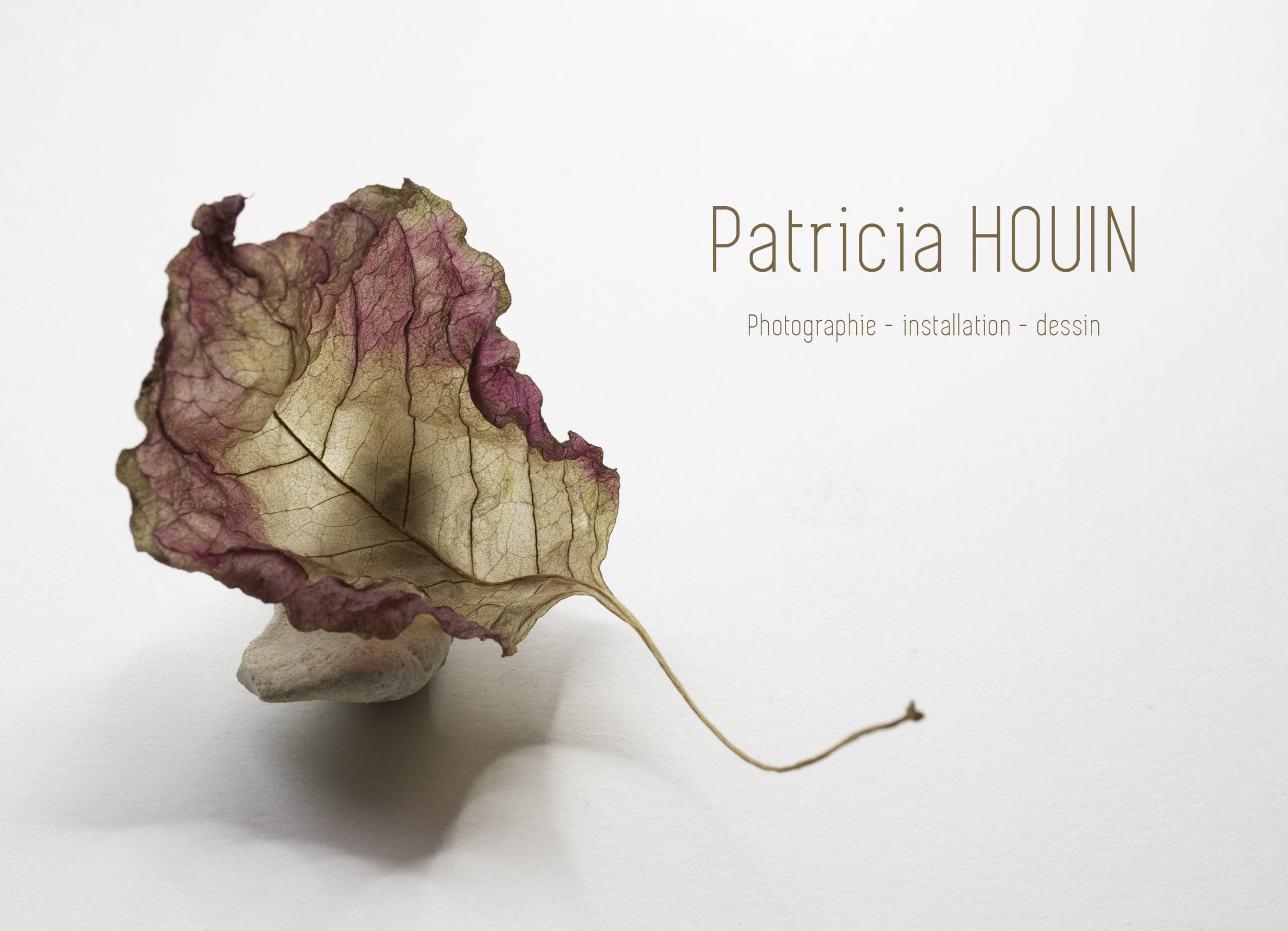 DSC 7813 Modifierweb