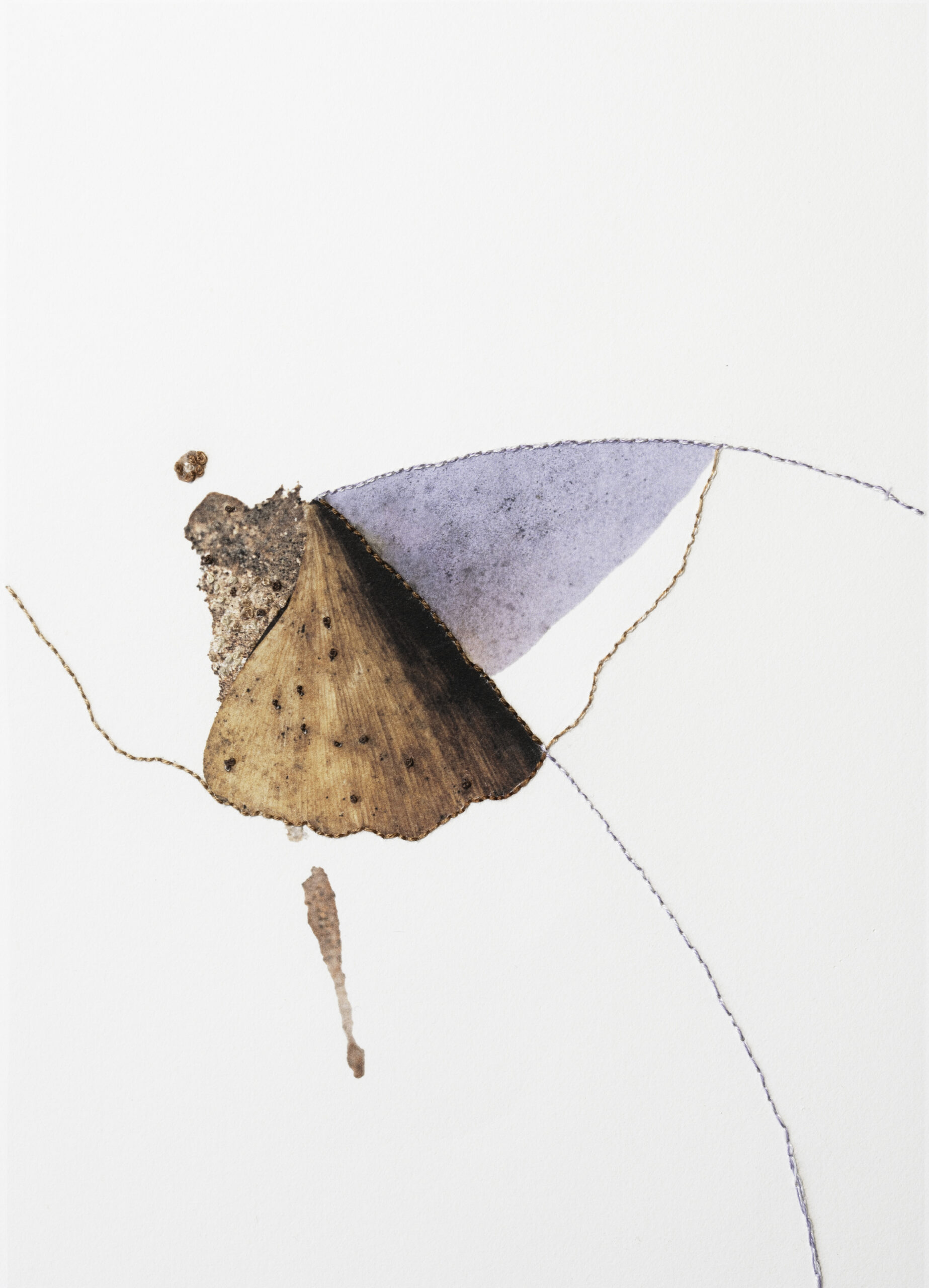 DSC 8189 Modifierweb4