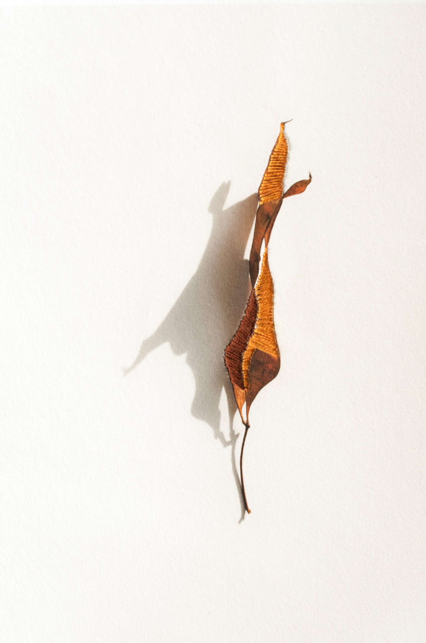 DSC 8204 Modifierweb2web