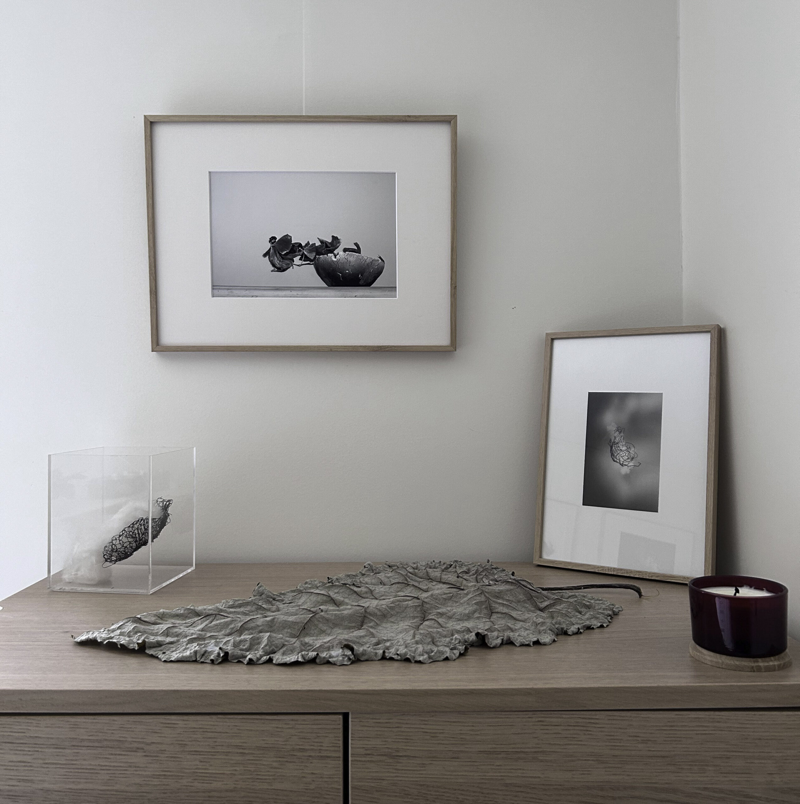 IMG 2885 Récupéré