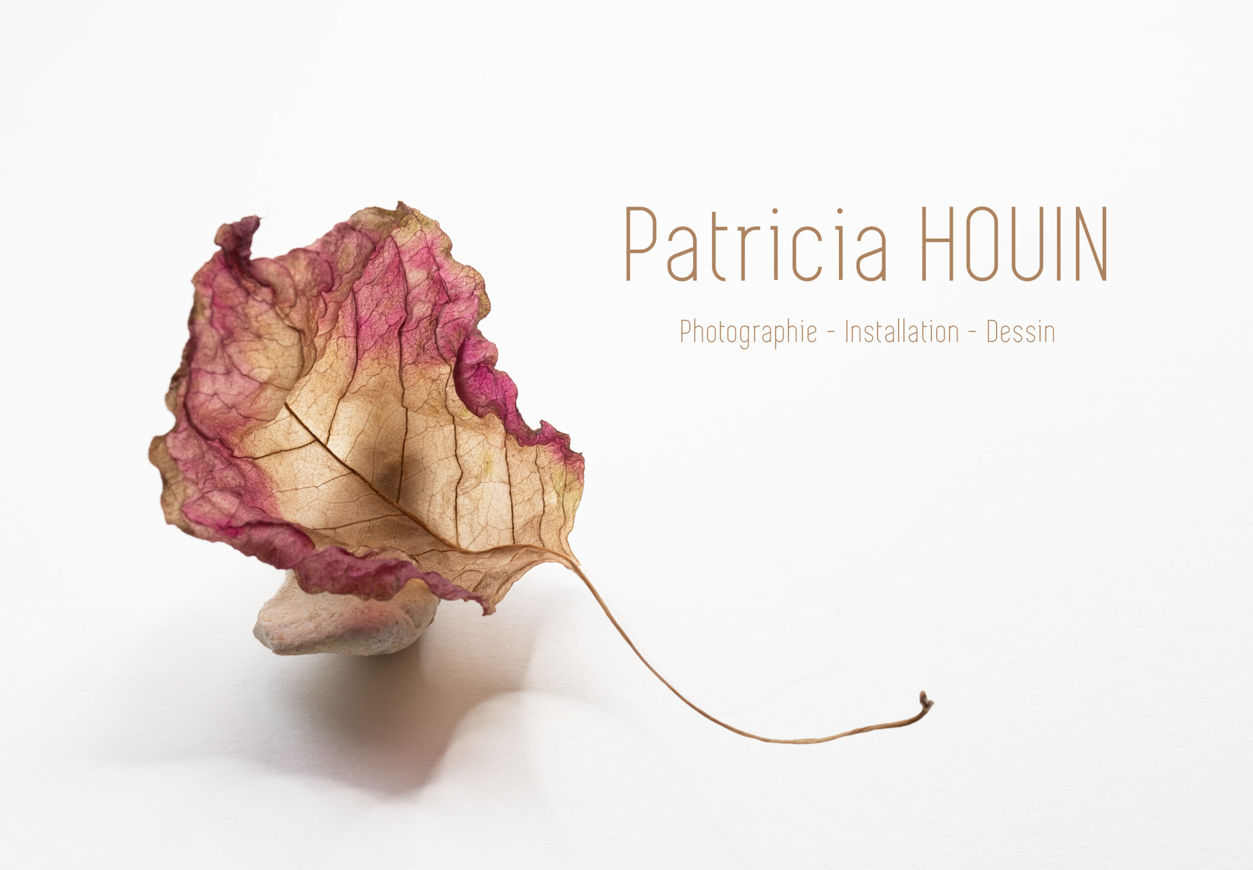 DSC 7813 Modifierweb