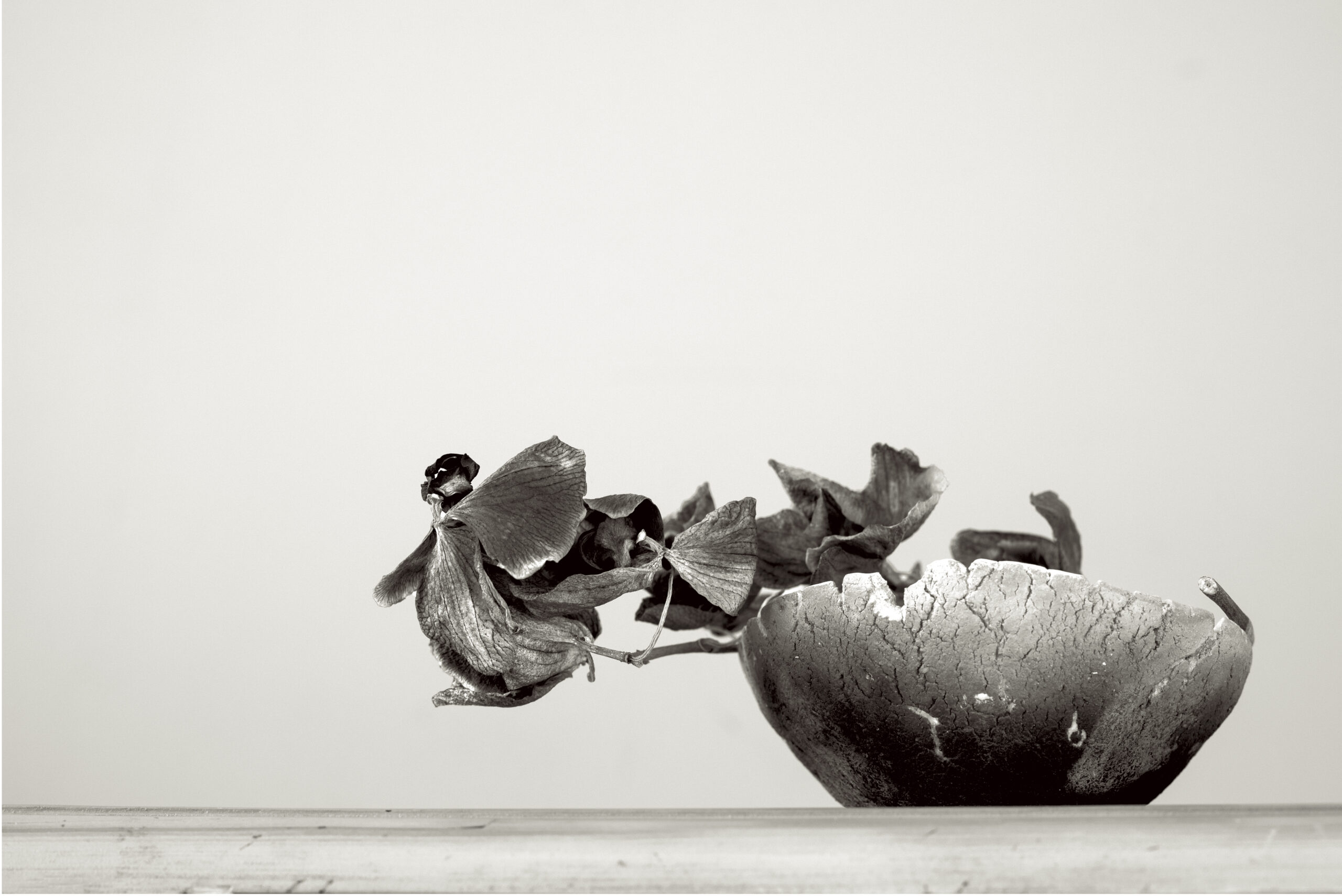 Impermanence